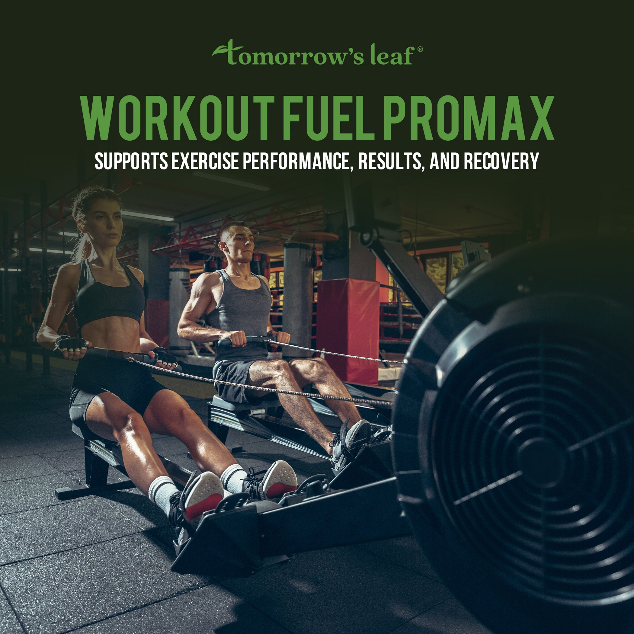 Tomorrow's Leaf Workout Fuel ProMax Tomorrow's Leaf Workout Fuel ProMax