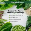 Chlorophyll Extract (30 Servings)