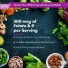 Folate (120 servings)