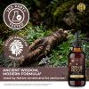 HEBS lab Osha Root Tincture Liquid Extract Ã¢ÂÂ Extra Strength Lung & Respiratory Support Supplement, 2 fl oz