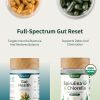 Snap Supplements Gut Health & Organic Spirulina Chlorella Bundleâ€“Probiotic + Digestive Enzymes + Greensâ€“Supports Digestion, Detox